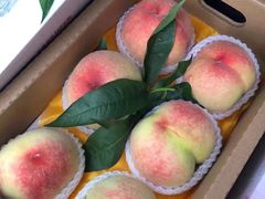 -唐桥水果批发市场