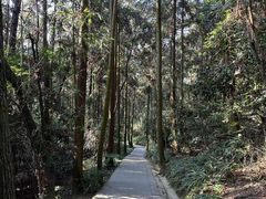 -窦圌山风景区