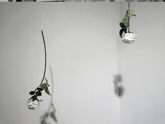 -成都失恋馆