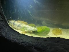 -江和美海洋公园