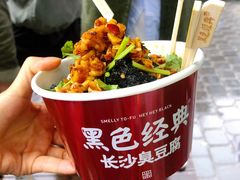 -黑色经典臭豆腐·湖南特产(坡子街店)