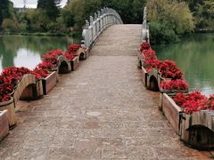 -有一锅·黑山羊腊排骨土鸡火锅(古城四方街店)