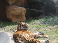 -杭州野生动物世界