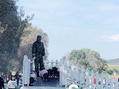 -大连铭湖国际观光牧场