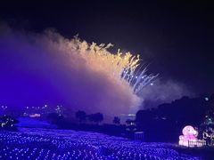 -大塘金香草谷