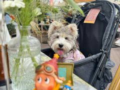 -Grande A'moo(上海万象城店)