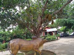 -胡志明新山一国际机场