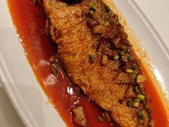 -峨嵋酒家 南北川菜 优选烤鸭(广渠路店)