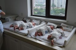 -海豚湾高端月子会所(黄浦店)