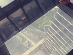 -上海环球金融中心骑迹50年环球之旅