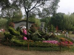 -苏州上方山国家森林公园