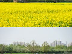 -汉长安城未央宫国家考古遗址公园