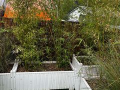 -羊门客在·烤盐池滩羊·川菜