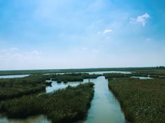 -盐城丹顶鹤湿地生态旅游区