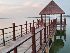 -瑶湖湿地自然保护区