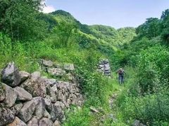 -终南山国家森林公园