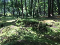 -西芳寺(苔寺)