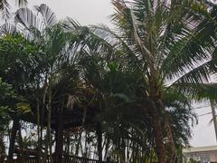 -美亭美榔姐妹塔