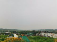 -空港花田景区