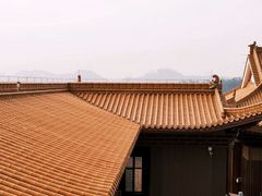 -深圳仙湖植物园