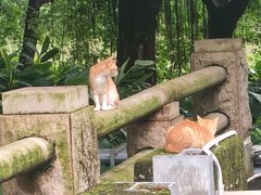 -海珠湖公园