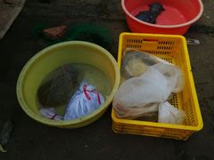 -永汉农贸综合市场