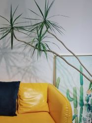 -杨丹国际美学肌研所