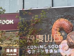 -远洋未来汇