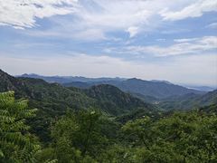 -大岭沟猕猴桃谷风景区