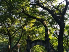 -鹅岭公园瞰胜楼