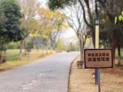 -盘龙城国家考古遗址公园