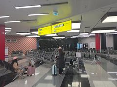 -谢列梅捷沃国际机场