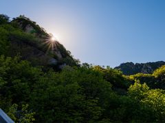 -大岭沟猕猴桃谷风景区