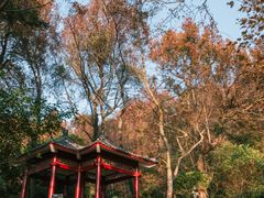-广州市石门国家森林公园