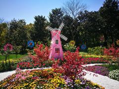 -上海共青森林公园