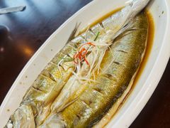清蒸白鱼-蟹村草堂·苏式园林人文农家·大闸蟹