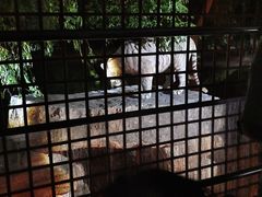 -上海野生动物园