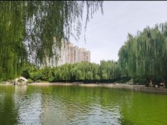 -团结湖公园