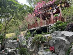 -广州市白云山风景名胜区