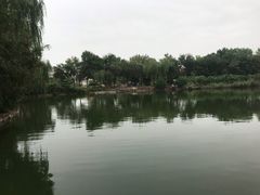 -人民公园(黄骅市)