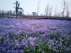 -汉长安城未央宫国家考古遗址公园