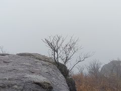 -东白山