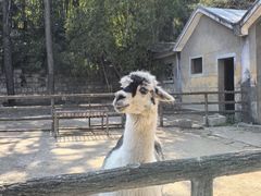 -昆明动物园