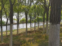 -永定河休闲森林公园