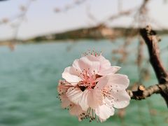 -颐和园