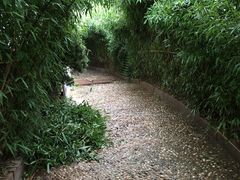-莫内艺术岛海景咖啡