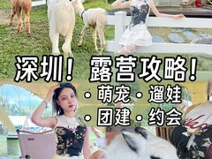 -云栖山谷野奢营地