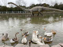 -上海海湾国家森林公园