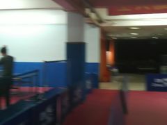 -大凤凰乒乓球馆