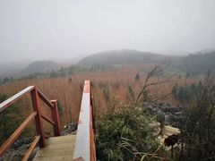 -山王坪喀斯特国家生态公园